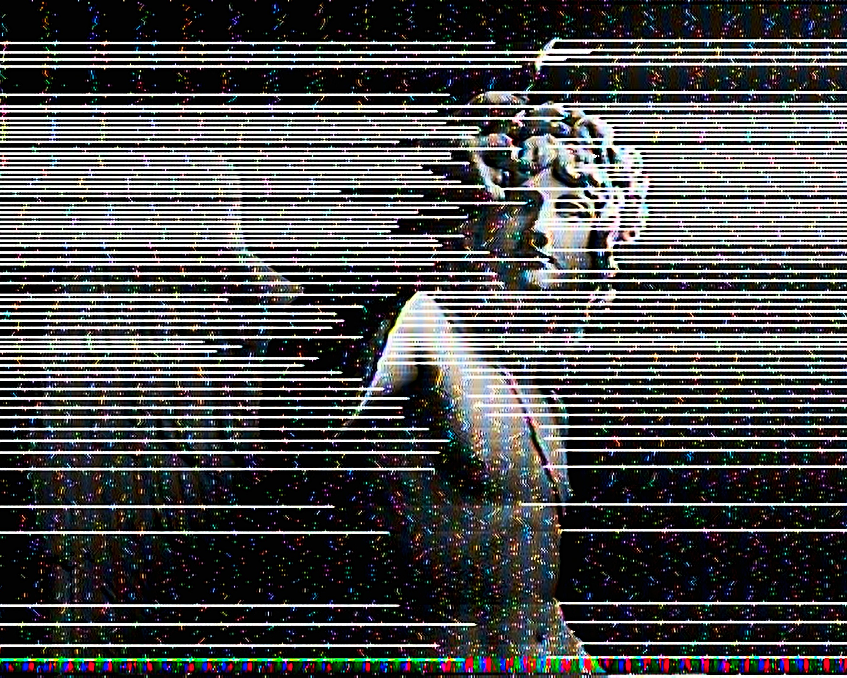 Woman In The Garden
